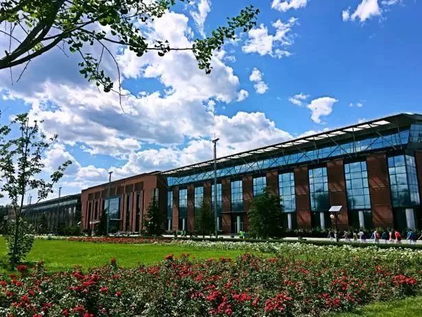 北京体育大学毕业生都去哪儿了？70%从事教育文体，年薪10.98万元