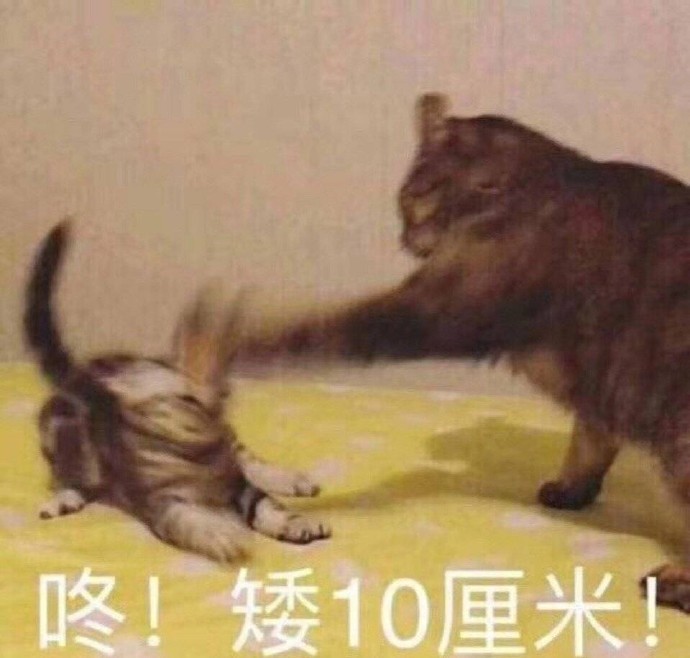 搞笑表情包：你真是一个又皮又欠揍的可爱女孩