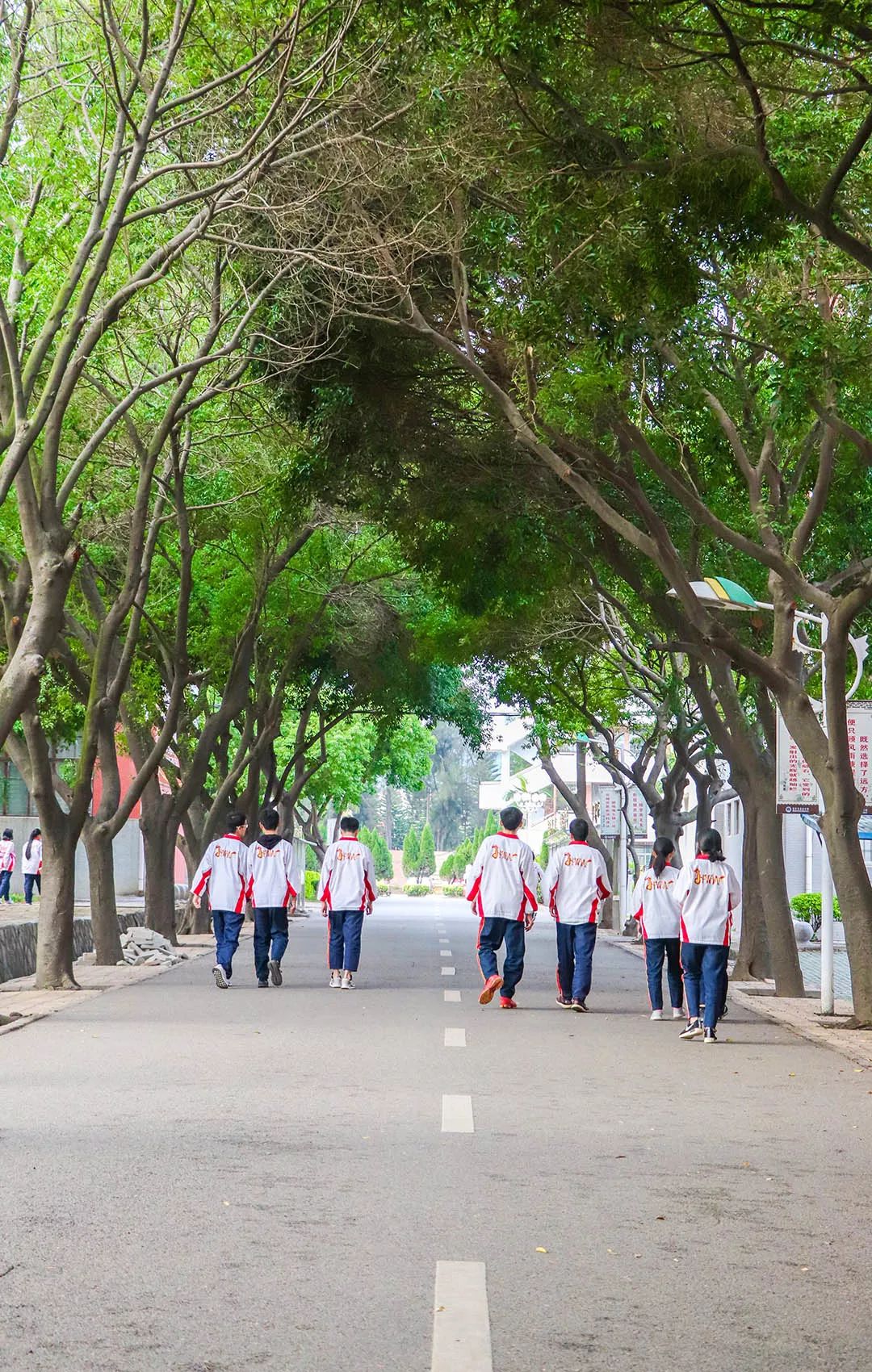 愿你出走半生，归来仍是少年