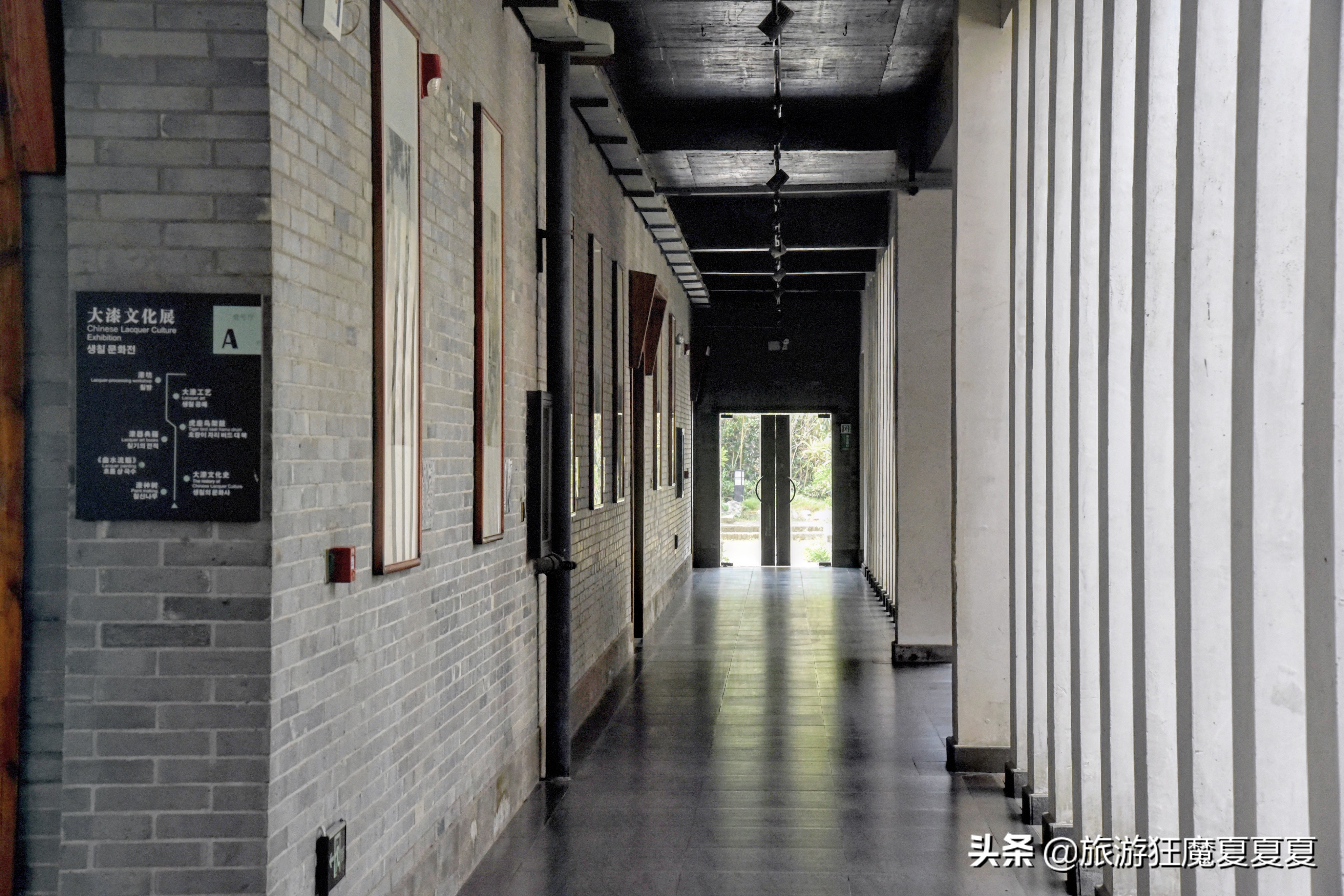 无风风筝，贝壳作画，荆州这所中职学校里竟藏着如此神奇的博物馆