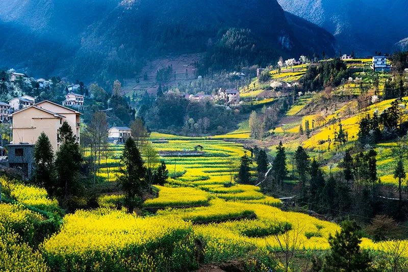 清明节去哪玩？重庆这些地方值得去踏青