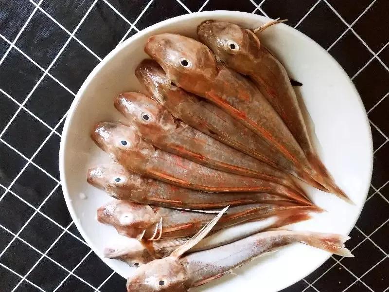 常吃海鱼的种类图片(春天) - 赤虎壹号