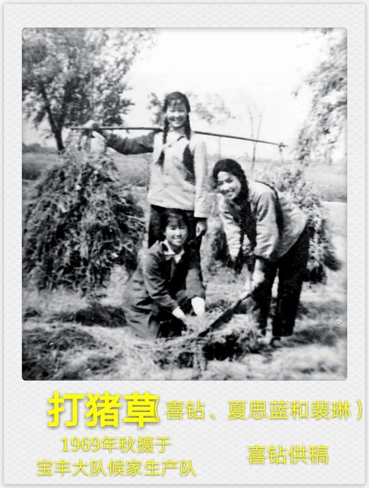 宝应县黄浦公社新建大队知青53周年聚会感言：知青十年，重塑人生