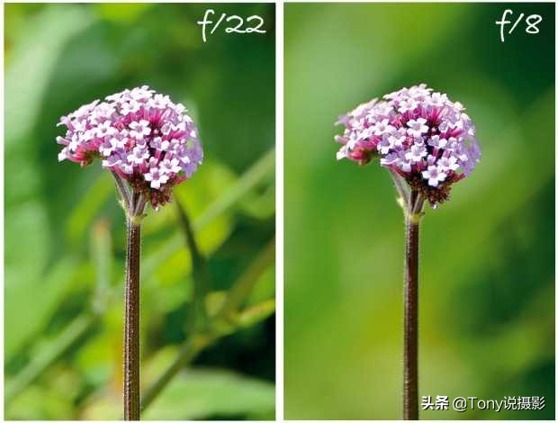 景深是什么意思摄影和相机景深详解