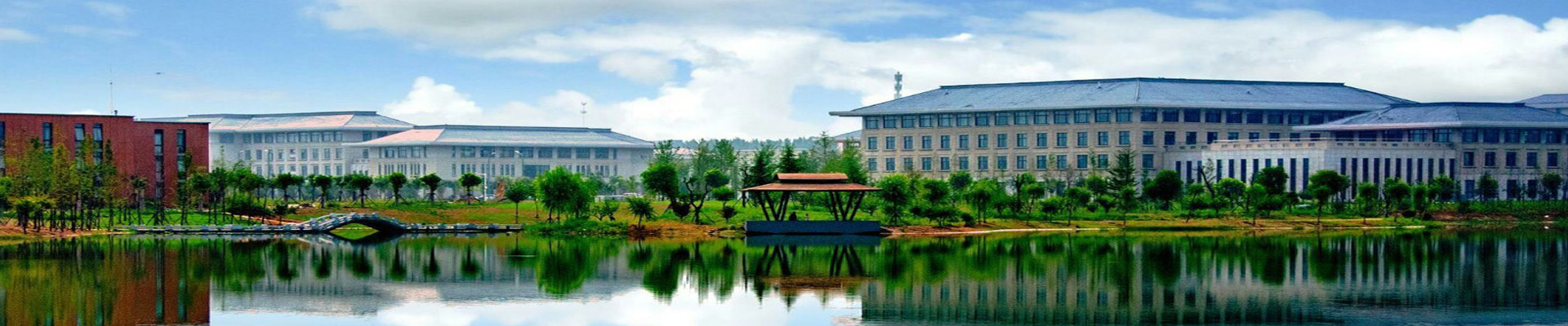 洛阳师范学院2020年招生计划，2019年录取分数