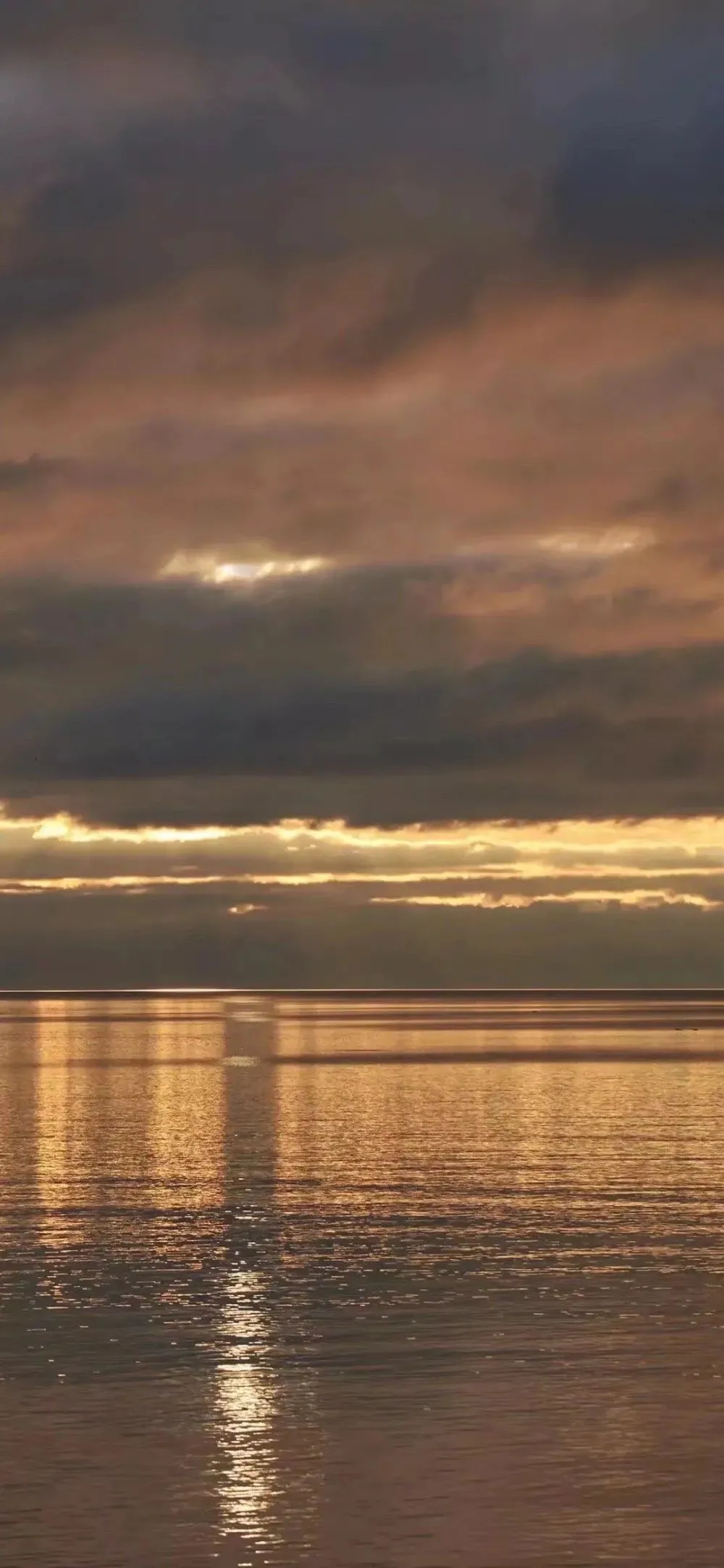 关于甜食的说说配图「文案」 _qq说说网