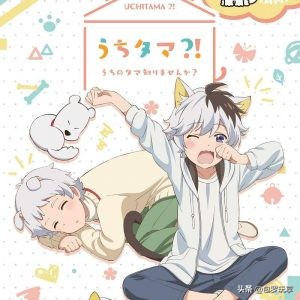 2020年一月上映的动画你看过几部