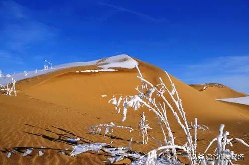 红墙，白雪，琉璃瓦，大雪压青松