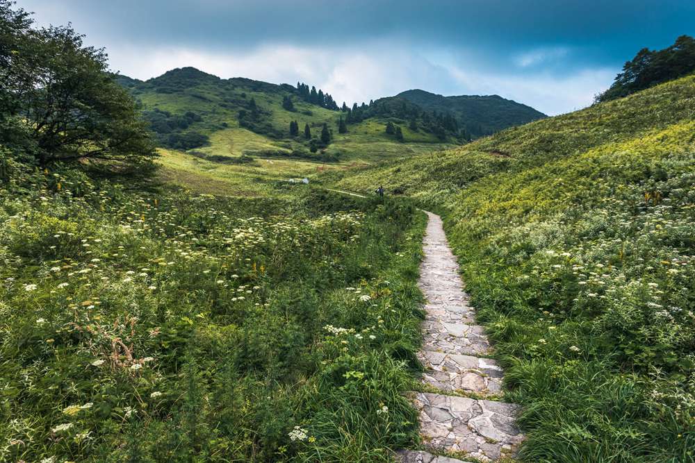 18°C的夏天谁不爱，火炉重庆竟藏着一个避暑消夏的天堂