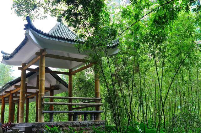 不容错过，深圳各有特色免费的十大主题公园