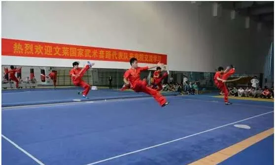 专业解读|体育教育、运动康复、运动训练、武术与民族传统体育