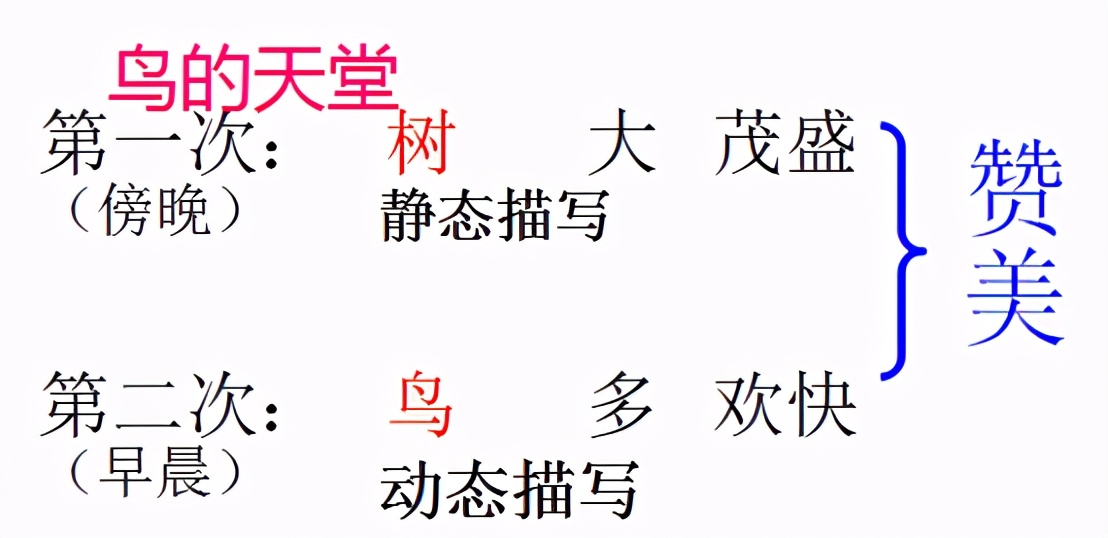 五年级语文上册第7单元知识点小结+练习