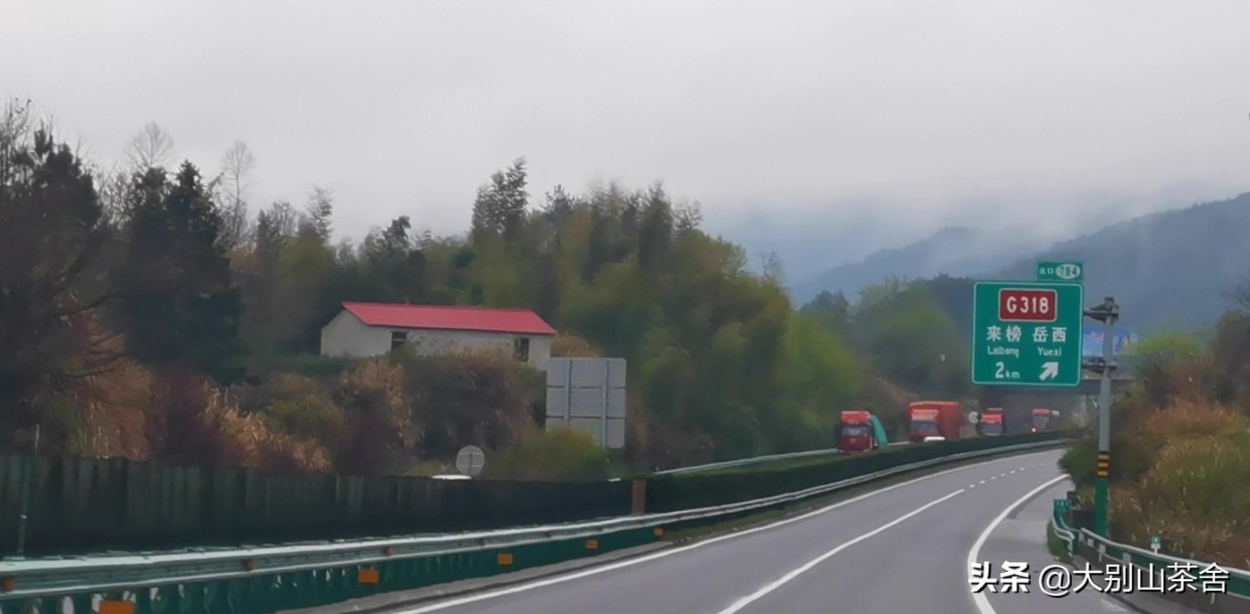 【大别山茶韵】晨雾缭绕采茶忙，绿意指尖舞春光