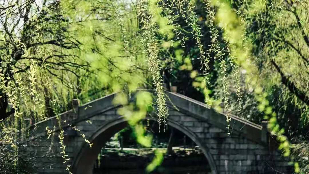 上海财经大学2022年金融硕士首席经济学家方向研究生招生简章