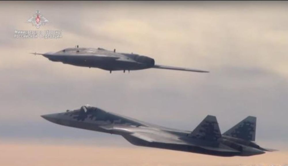 �����������Ż�������ϼ�-20��