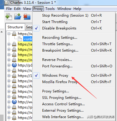 HTTP（HTTPS）抓包，代理工具，程序员测试开发必会