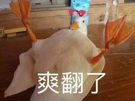 沙雕表情包：爽翻了