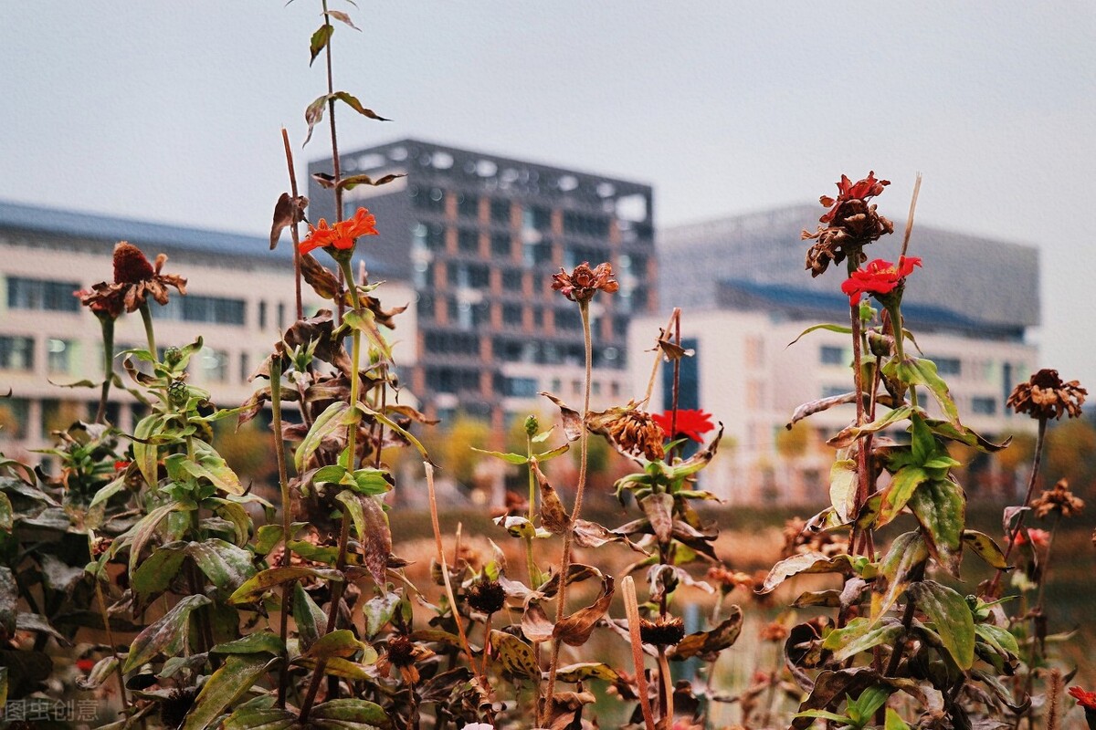 大学刷单有风险吗？挂科找工作有影响吗？老学长大一新生6个建议
