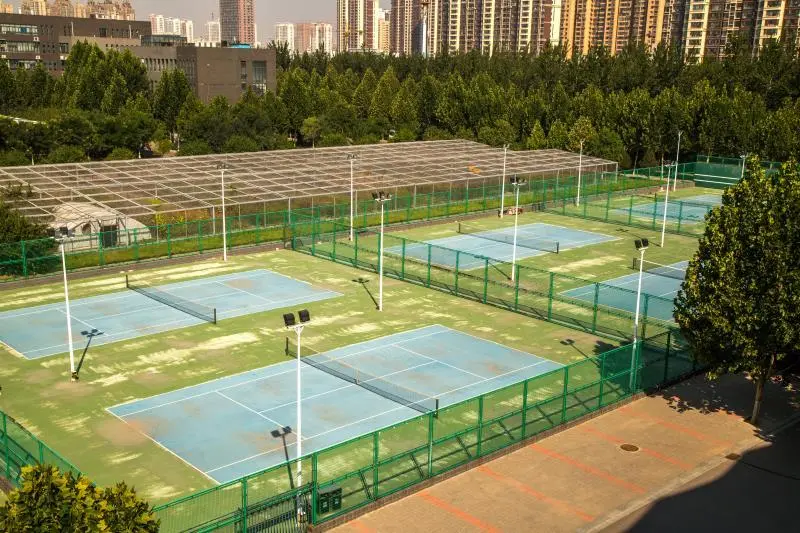 专业解读|体育教育、运动康复、运动训练、武术与民族传统体育