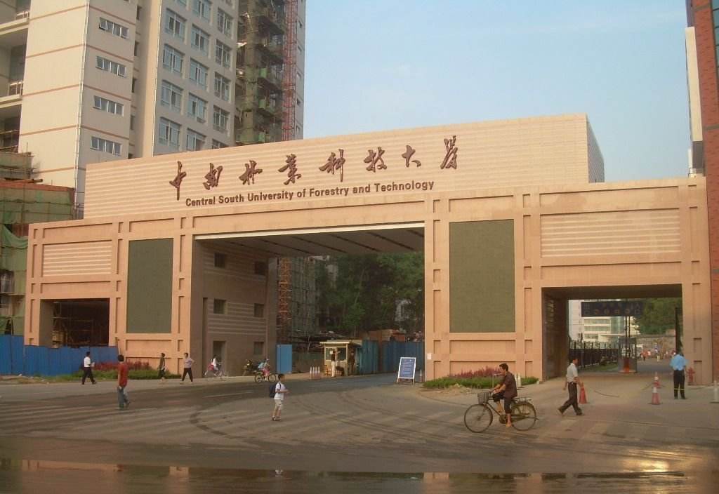 湖南各大高校校门展示，湖南大学门口为何立着两根旧石柱？