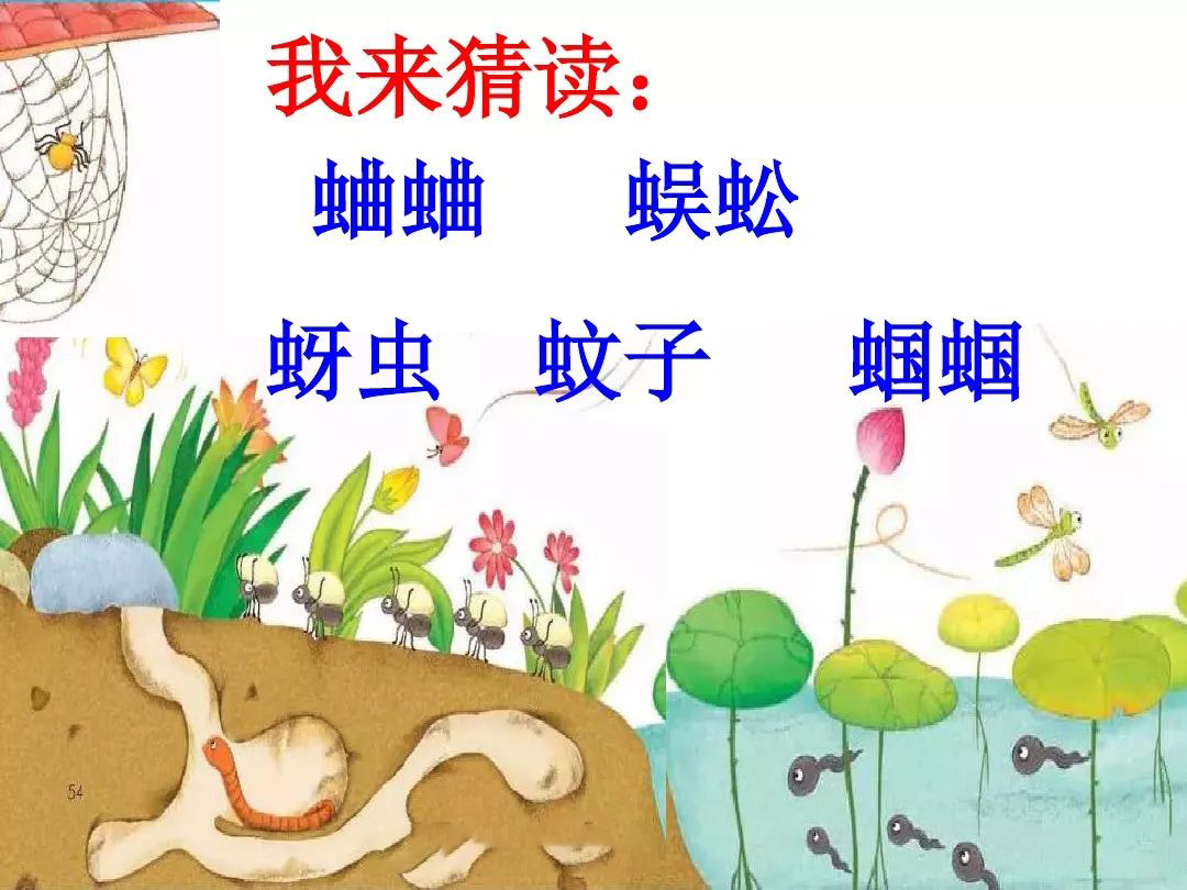 蜘蛛房前结网忙的好词好句精选100条