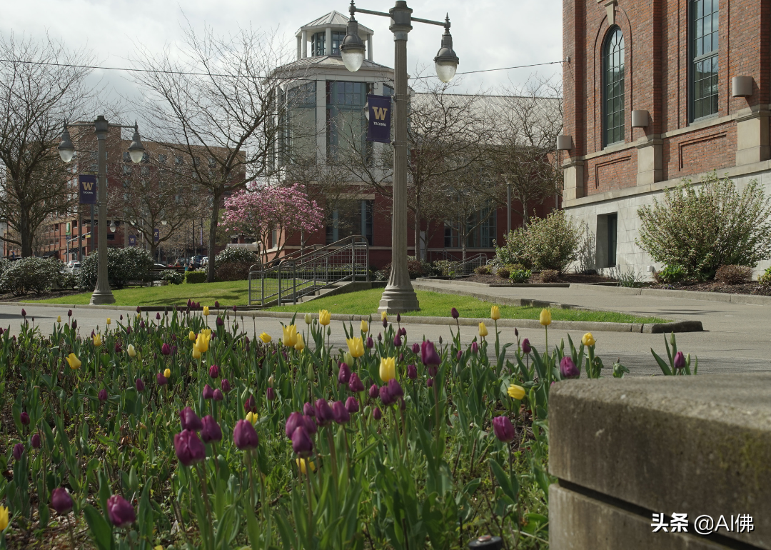 美国最自由的公立大学