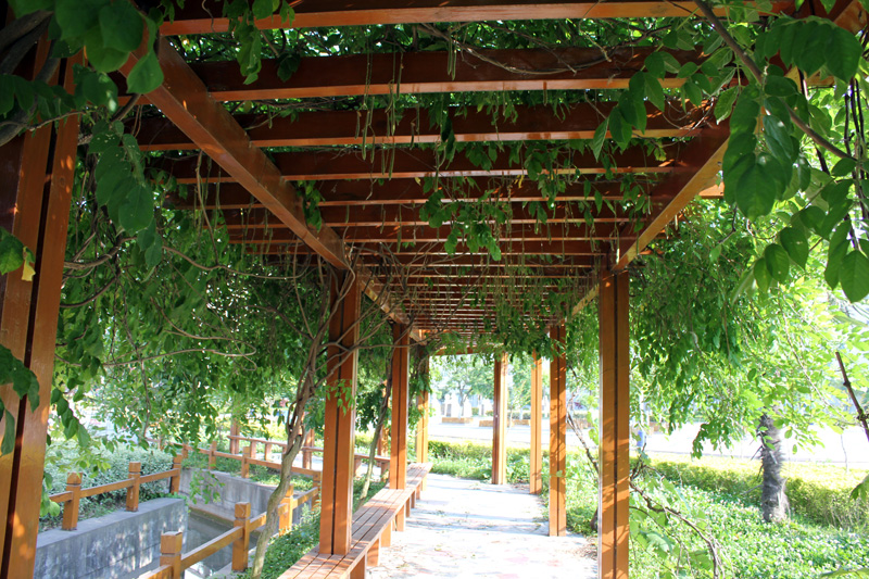 江苏盐城高考，盐城中学创佳绩，获市文理状元，高分人数全省第二