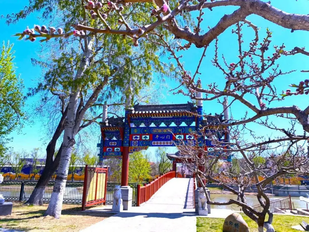 数说升学 | 北京京西学校如何做到学子遍布世界名校？