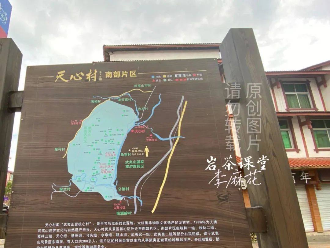 最好的肉桂是正岩肉桂吗？牛栏坑肉桂、马头岩肉桂，都是顶尖货？