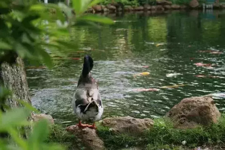 高考全省前50学霸：广州21席，深圳15席，珠海一中全省第一