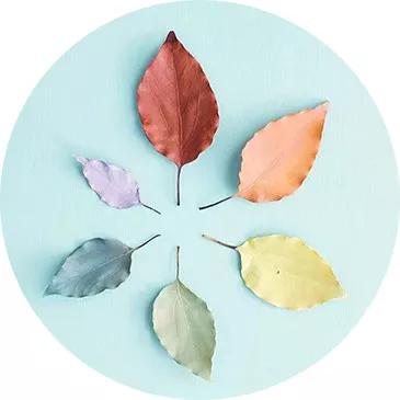 2020北京电影学院数字电影技术考研复试分数线及参考书讲解