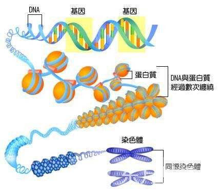 皮下脂肪瘤形成原因是什么？会癌变吗？