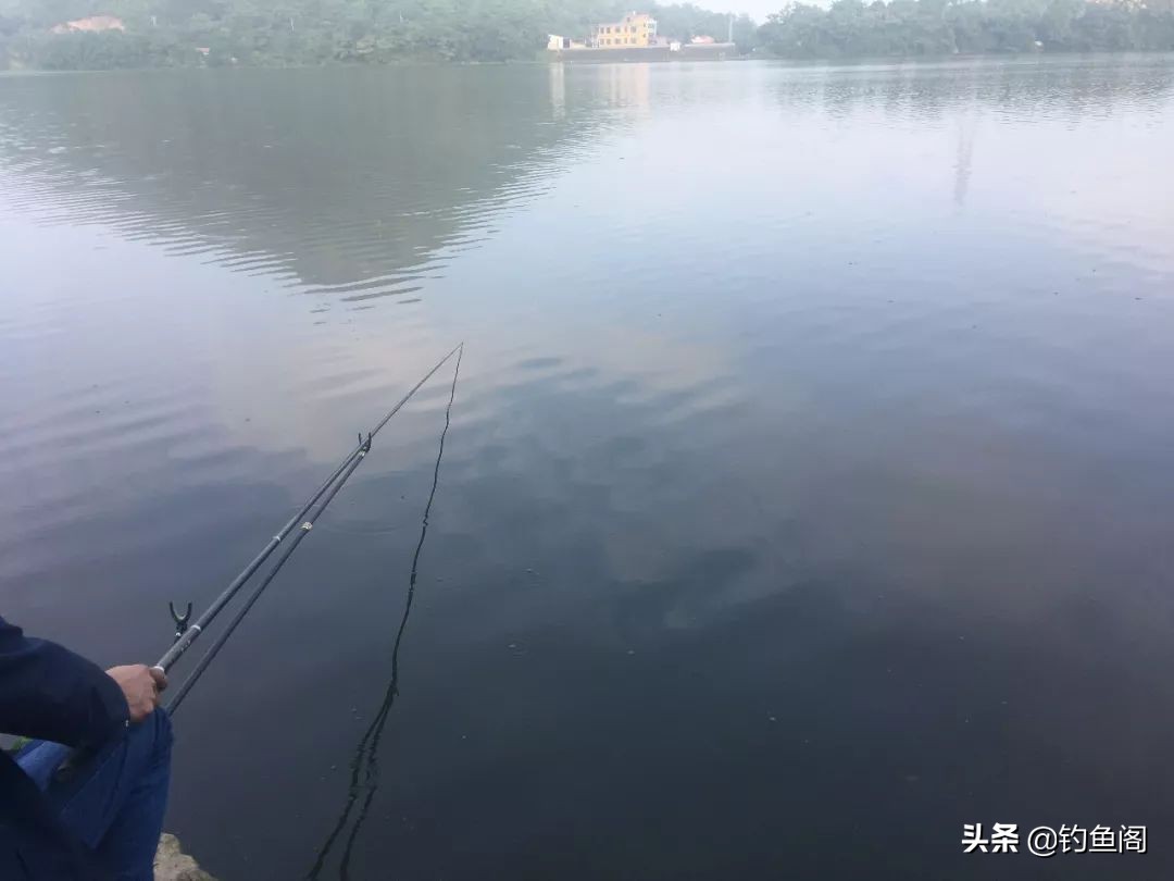 钓鱼装备推荐：优质钓鱼伞品牌选购指南