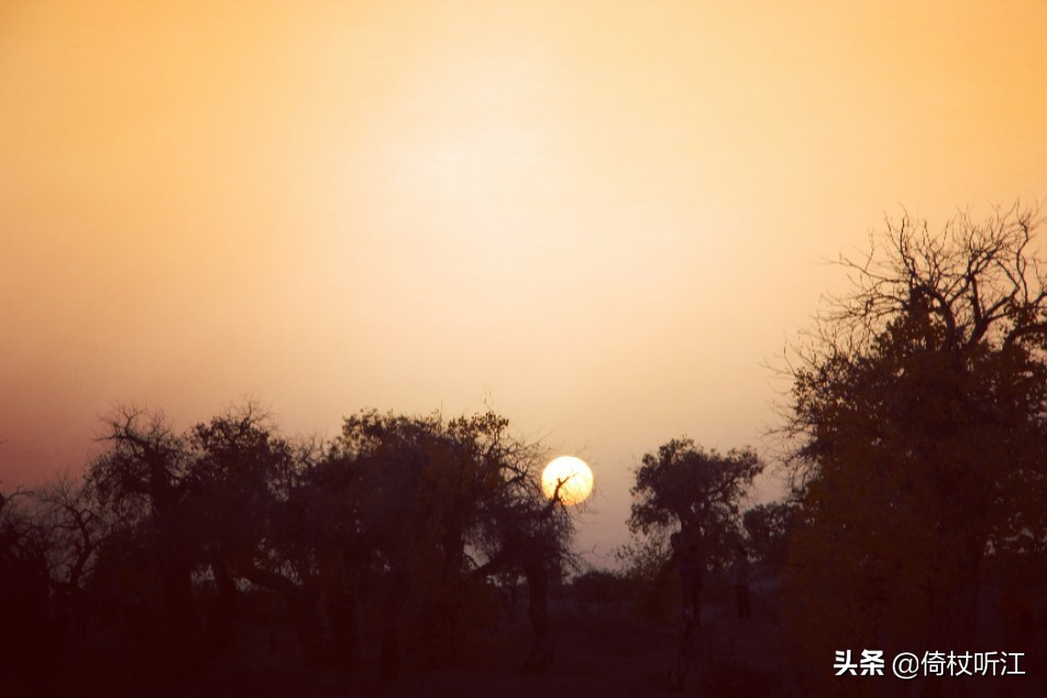 千里醉胡杨，不忍道别离