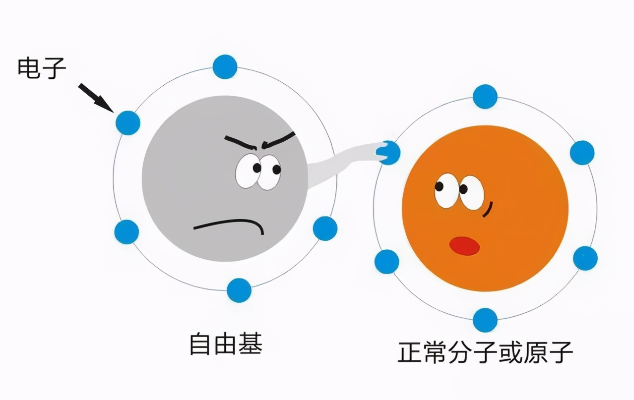 药学博士：护肤界最强抗氧化剂[艾地苯]究竟是啥玩意儿？成分解析