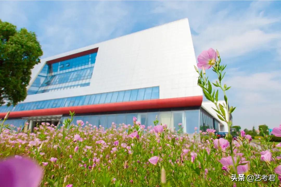 上海市新增8所大学明确承认美术统考成绩，如何扬长避短发挥优势