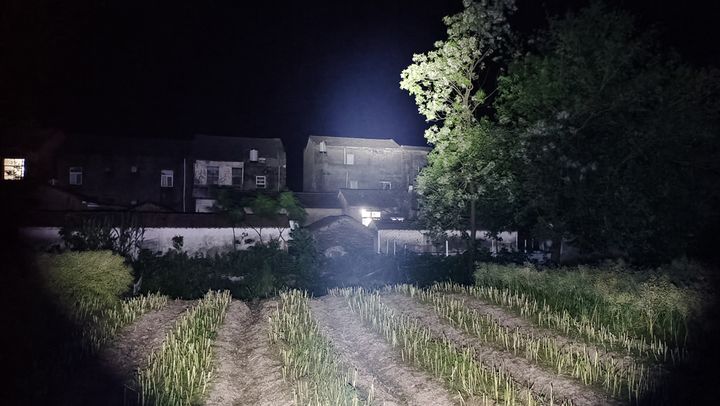 手电筒品牌（推荐4款性价比最高的手电筒）