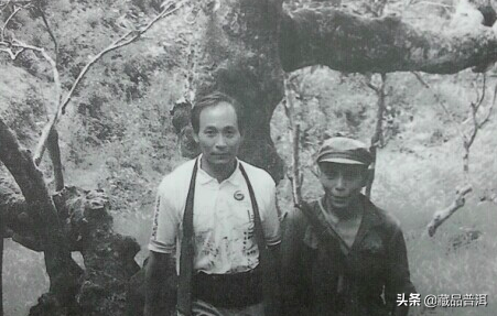 邓时海2013年福禄圆茶：传承号级茶“季节拼配法”，值得收藏品鉴