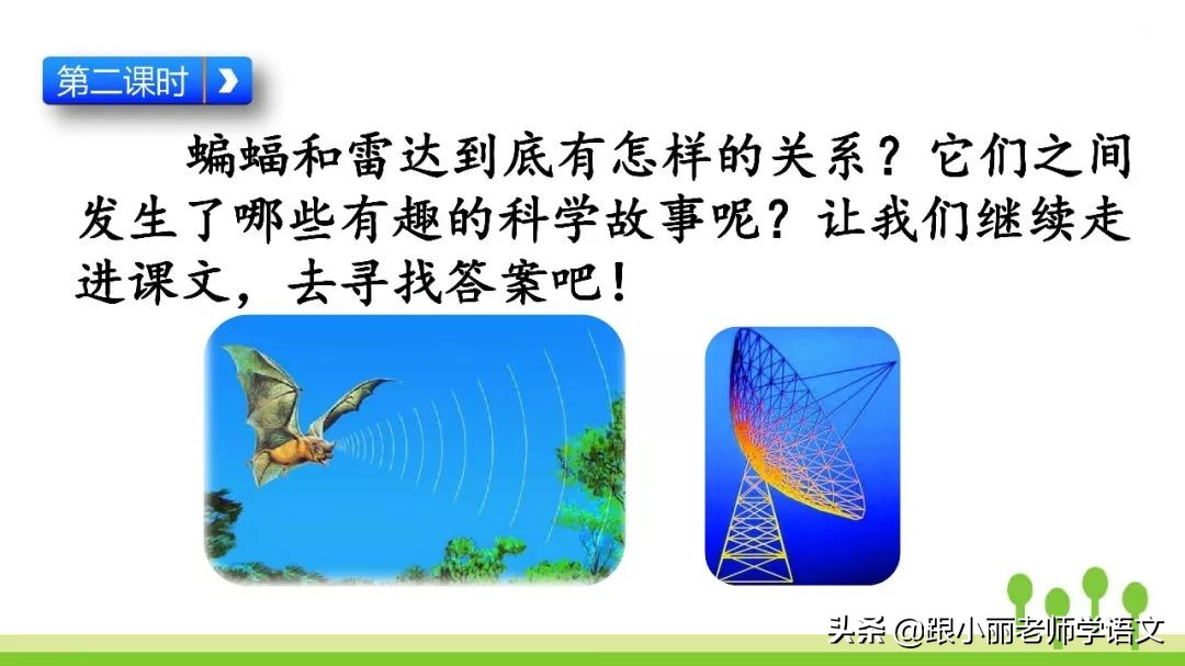 蝙蝠和雷达的名人名言