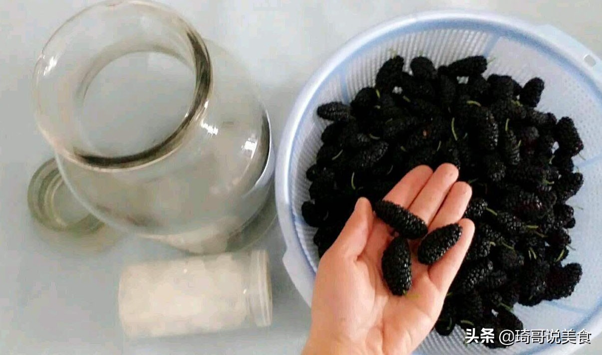 桑葚好处多,泡酒正当时,教你详细配方和做法,做一次喝一年