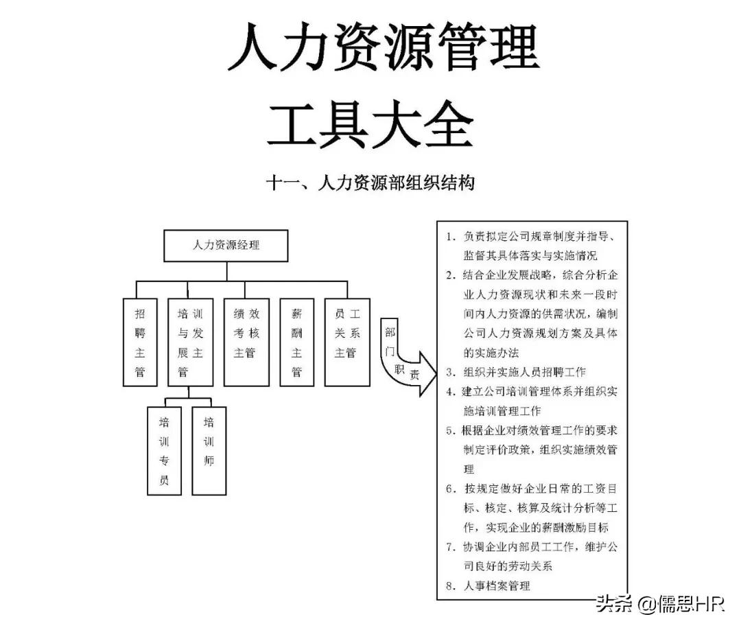公司组织结构,公司组织结构怎么写