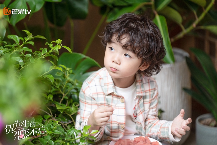 暑期下飯必備甜??！《賀先生的戀戀不忘》土萌來襲