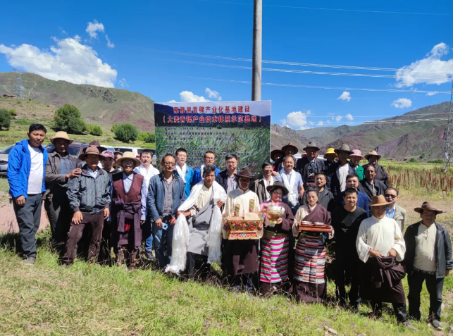 四川双一流教授：自掏腰包做科研，创下10亿经济效益，技术达国际先进水平！