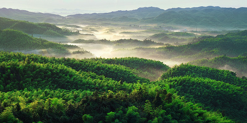 景区等级:aaaa景点地址:四川省宜宾市蜀南竹海风景名胜区管理局我国最