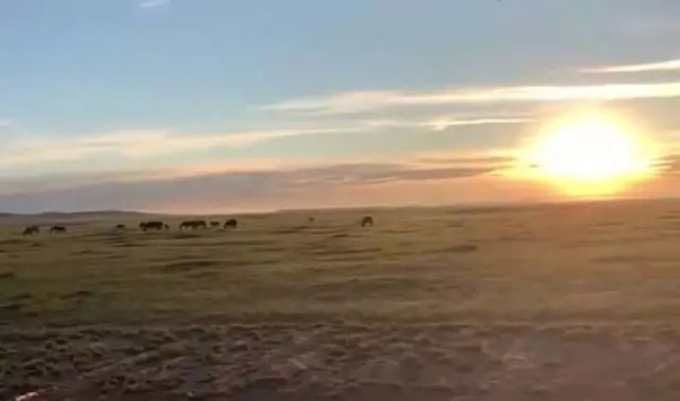 43岁母亲和儿子一起考上大学，好妈妈是孩子心中永远的光