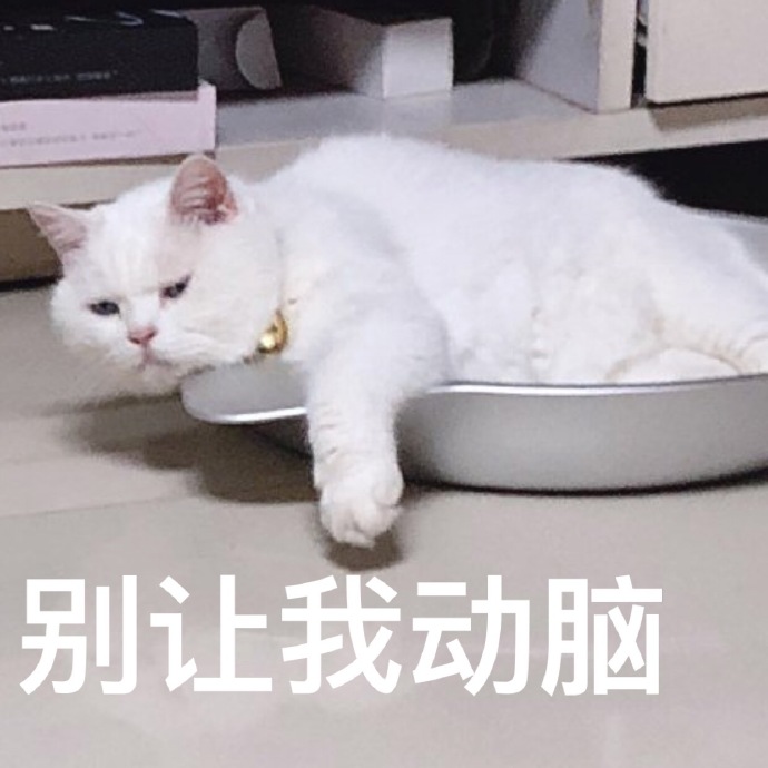 猫咪表情包｜睡了告辞