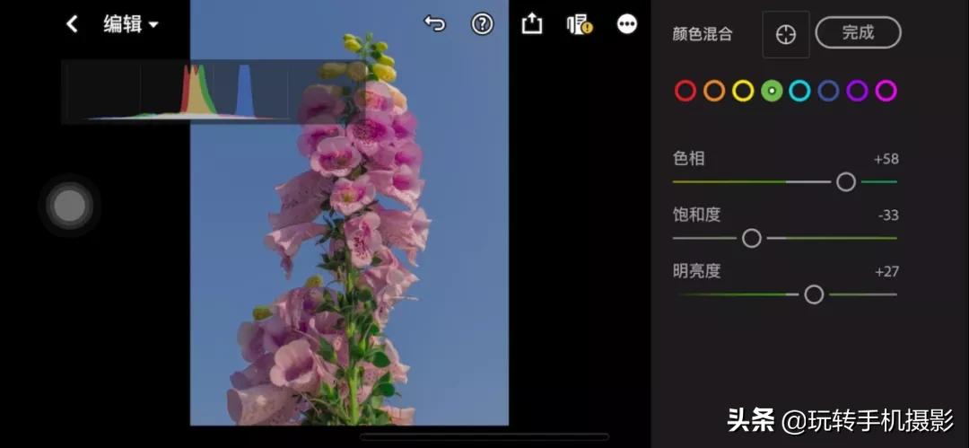 拍花后期！调色用对了，就很有春天的感觉