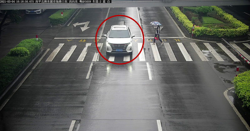 交通违法曝光！