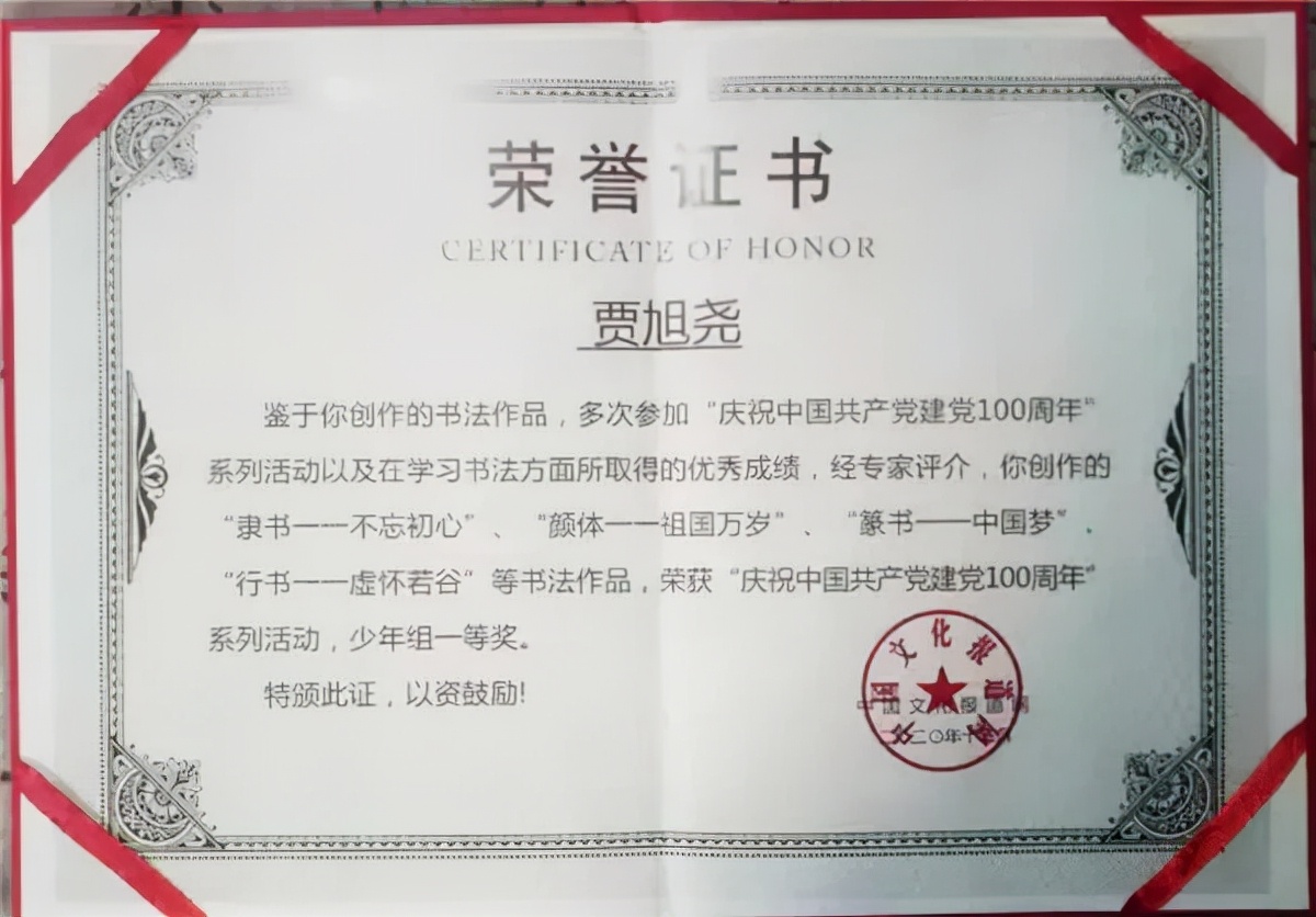 「聚焦中国」青少年书法家贾旭尧