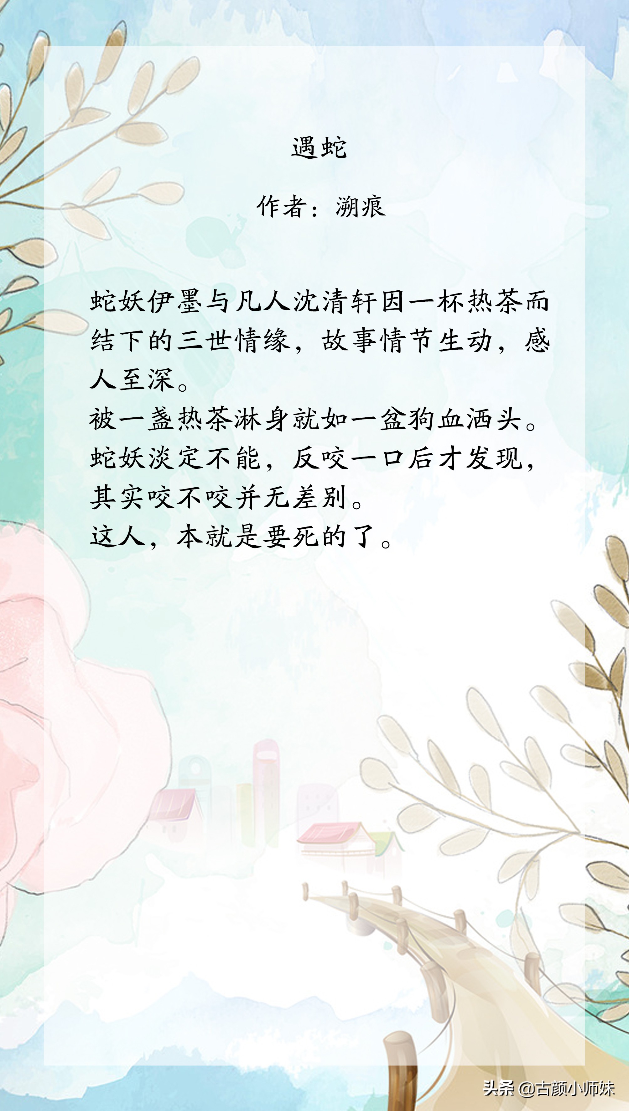 强推！虐文《后来我们都哭了》《遇蛇》《阮陈恩静》真心好看